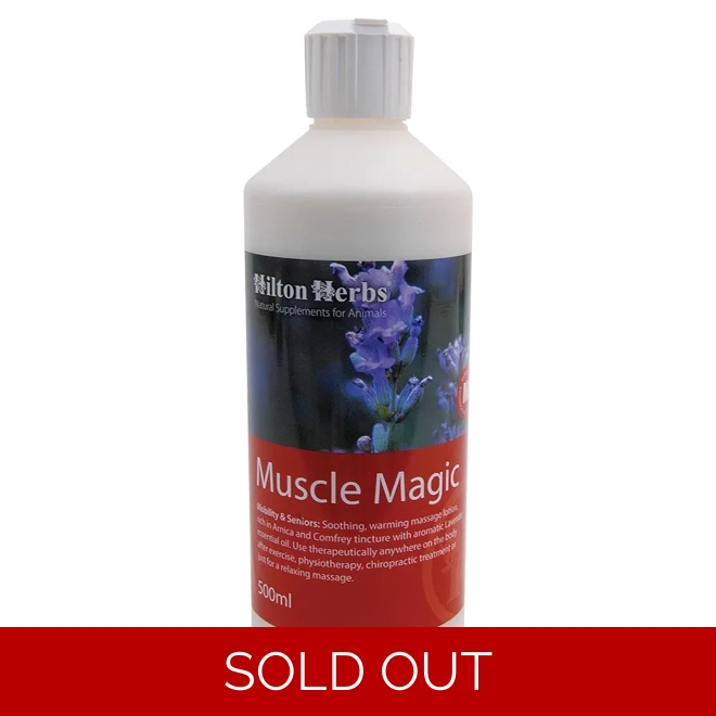 product Image for Hilton Herbs Muscle Magic 500ml